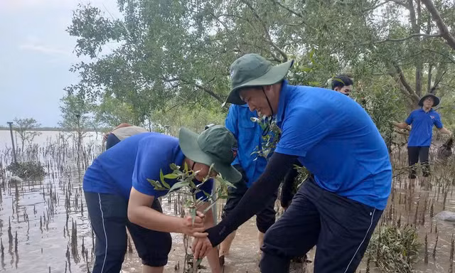 Nổi chìm văn hóa Cù lao: Chuyện cồn Đất cuối dòng Mê Kông 