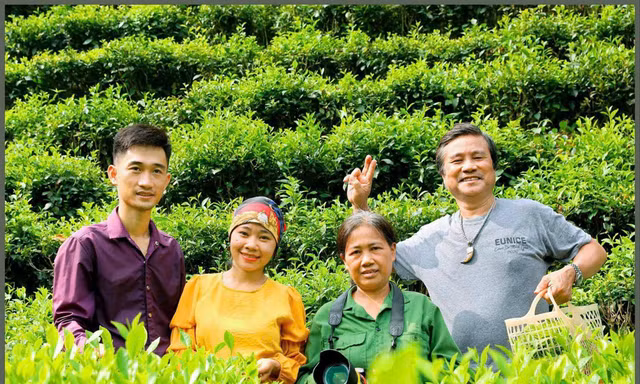 Chàng trai Tày mê làm chè sạch 