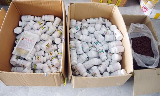 Giả danh Đông y, trục lợi người bệnh 