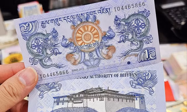 'Săn' tiền rồng cho năm mới 