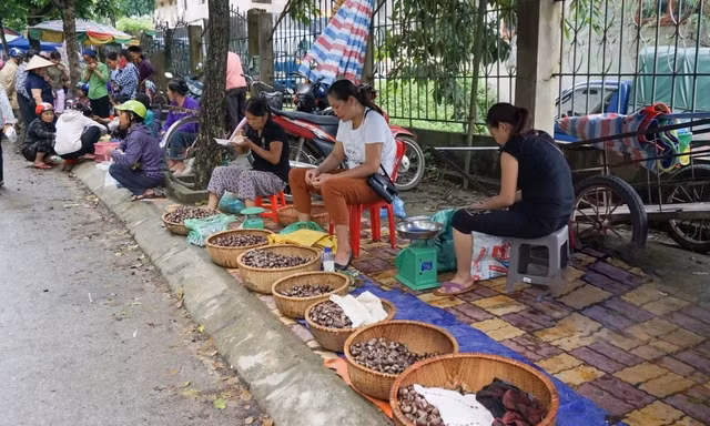 Trùng Khánh, tháng 9 