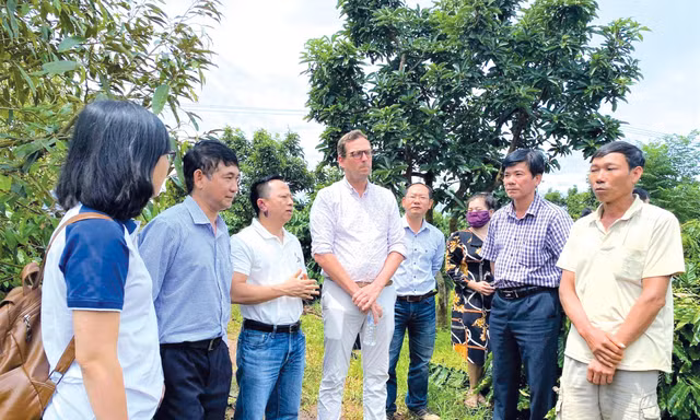 Nhiều dự án đầu tư hấp dẫn tại vùng đất bazan Cư Mgar 