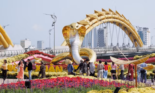 Lần đầu giữ lại đường hoa Tết, Đà Nẵng sẽ chăm sóc như thế nào?