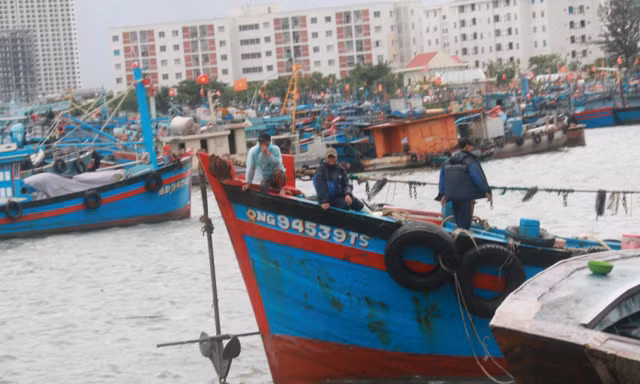Hàng trăm tàu cá nối đuôi nhau vào âu thuyền Thọ Quang tránh bão Côn Sơn