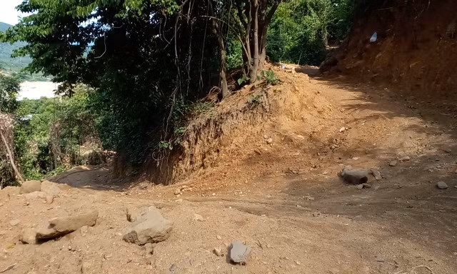 Làm rõ sai phạm của cá nhân, đơn vị liên quan đến vụ rừng Hải Vân bị 'cày xới'