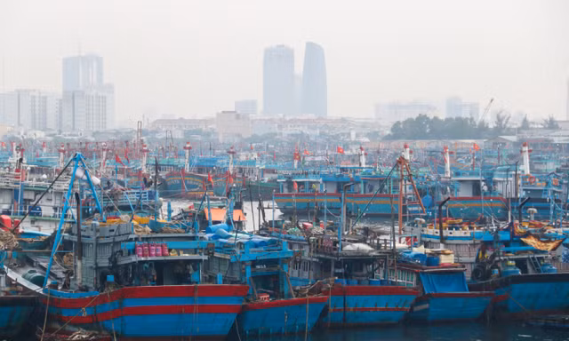 Ứng phó mưa bão, Đà Nẵng quản lý chặt chẽ tàu thuyền