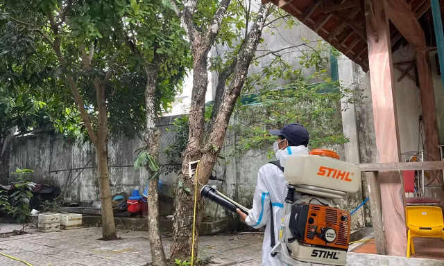 Bệnh ho gà ‘tái xuất’ ở Quảng Ngãi sau hơn 3 năm vắng bóng