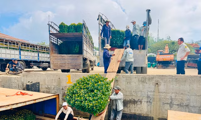 Trời vừa hửng nắng, tàu chạy hết công suất để kịp ‘chở Tết’ ra đảo Lý Sơn