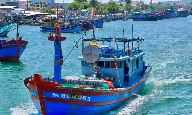Hai tàu cá ở Quảng Ngãi bị phạt hơn 3 tỷ đồng