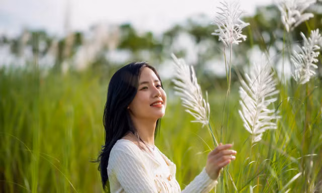 Cánh đồng lau trắng đẹp mê mẩn thu hút giới trẻ Đà Nẵng