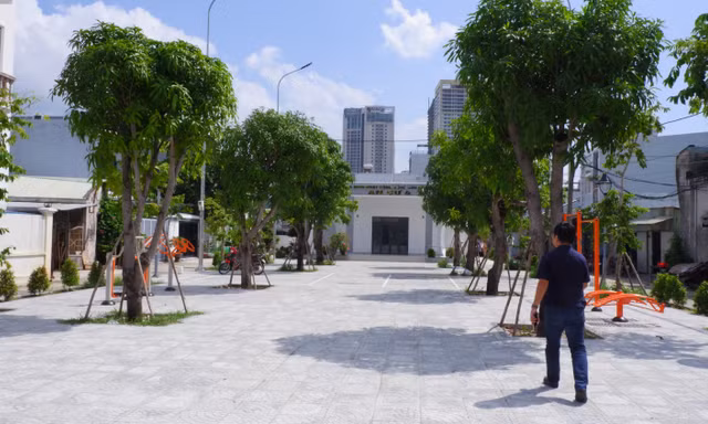 Giữ đất, trồng cây cho thế hệ sau 