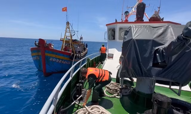 Đề xuất cấm đánh bắt có thời hạn 5 khu vực biển ven bờ tỉnh Quảng Ngãi