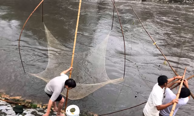 Người dân Thủ đô đổ xô đi bắt cá sau mưa bão