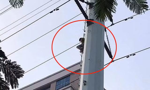 Người đàn ông cố thủ trên cột điện cao thế đường Lê Văn Lương kéo dài