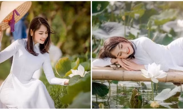 Khó rời mắt trước "đóa sen" trắng ngần