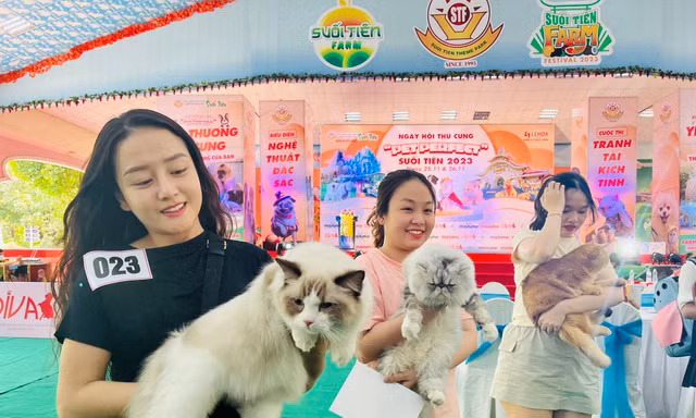 Bạn trẻ 'lên đồ' cho chó mèo xúng xính dự ngày hội thú cưng