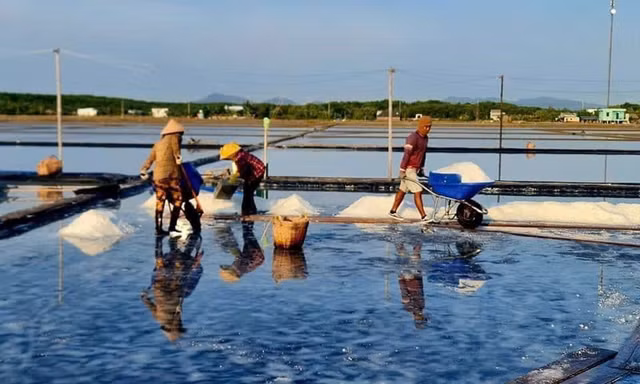 Diêm dân Cần Giờ bất ngờ trúng mùa muối 