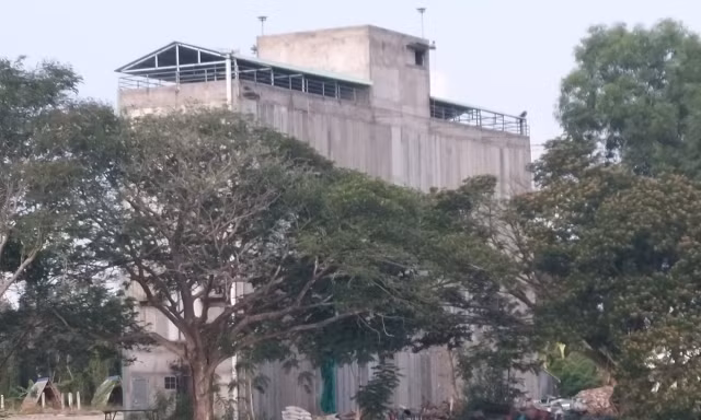 Sau 4 năm bị buộc tháo dỡ, nhà nuôi chim yến trái quy hoạch tại Long An vẫn nguyên vẹn