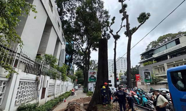 TPHCM khẩn trương ứng phó bão số 6 Trà Mi