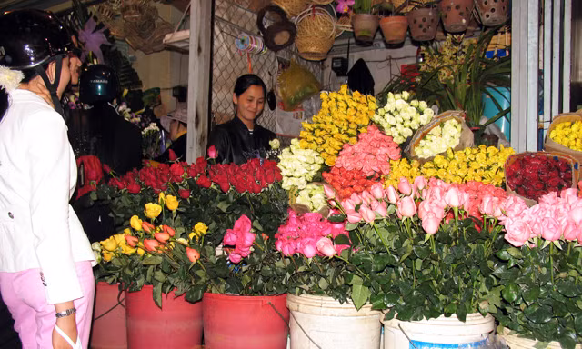Hoa hồng Đà Lạt chủ yếu tiêu thụ nội địa.