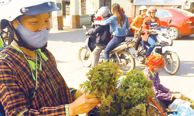 Mang đặc sản núi rừng ra thành phố bán. Ảnh: Duy Chiến