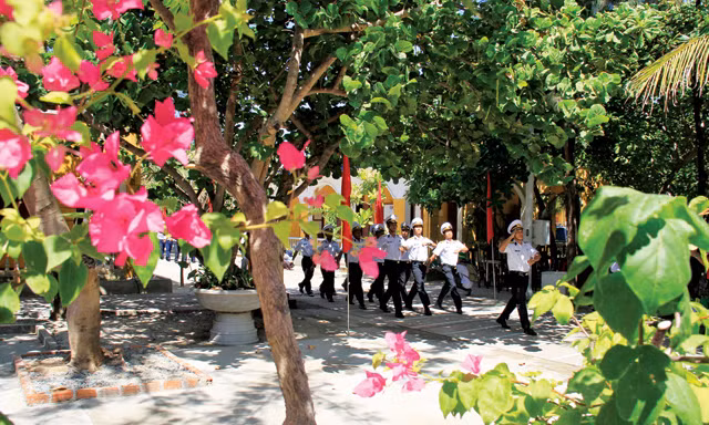 Hoa giấy trên đảo Sinh Tồn. Ảnh: Trường Phong