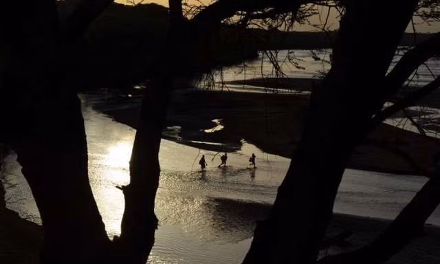 Con người được cho là phát triển ở đông Phi nhờ cảnh quan chuyển từ rừng thành đồng cỏ.