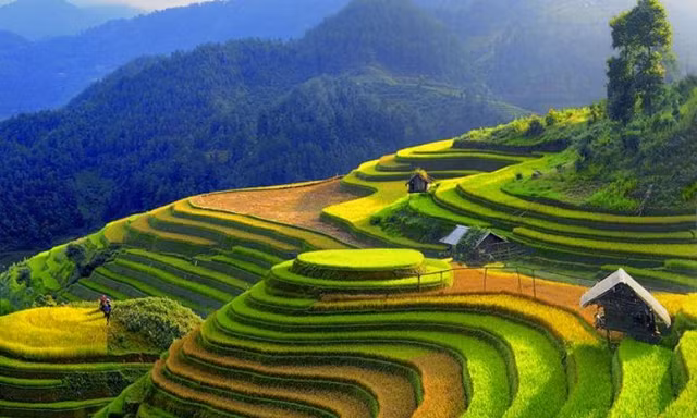 Ruộng bậc thang tại Mù Cang Chải.