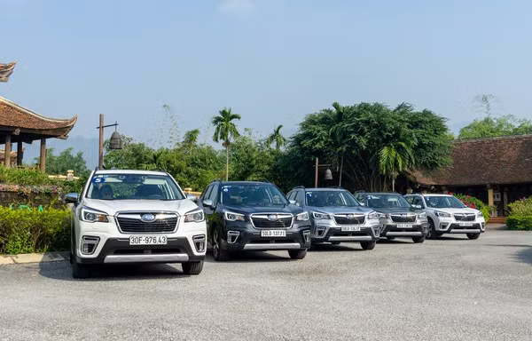 Subaru chốt cách xử lý cho Forester bị nổi 'cá vàng'