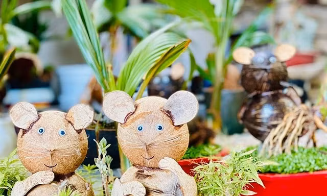 Dừa bonsai hình chuột đắt khách