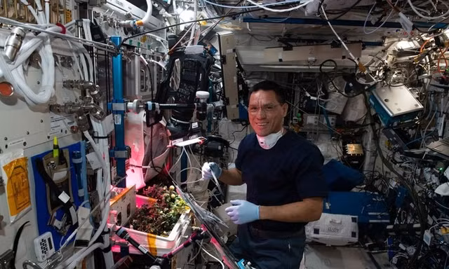 Tìm thấy quả cà chua 'mất tích' suốt 8 tháng trên trạm vũ trụ ISS