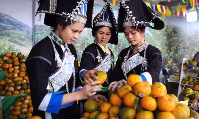 Tuần lễ quýt ngọt biên giới Mường Khương tại Hà Nội