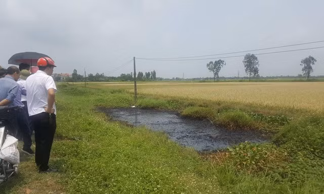 Xác định nghi phạm đổ chất thải độc hại ra mương nước khiến cây cỏ chết cháy