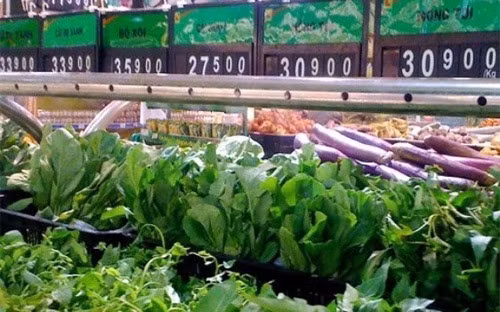 Hoa mắt với “tem” rau