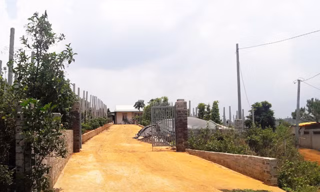 Trang trại của ông Nguyễn Đức.