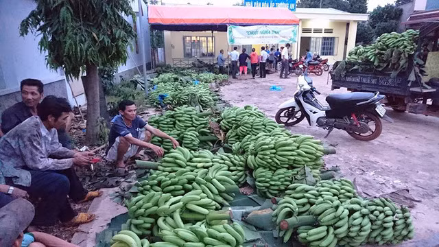 Ế vì không có liên kết, làm theo phong trào