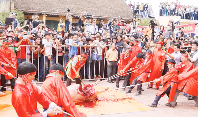 Cảnh chém lợn ở làng Ném Thượng (Bắc Ninh) ngày mùng 6 Tết Ất Mùi. Ảnh: Như Ý.