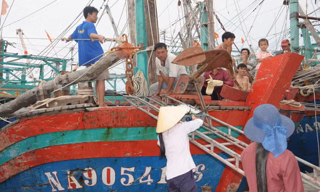 Không khí tấp nập tại cảng cá.