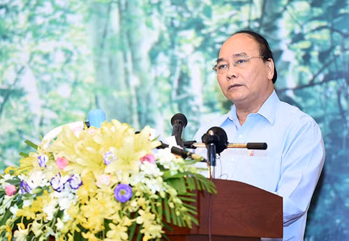Thủ tướng chỉ đạo khôi phục rừng bền vững