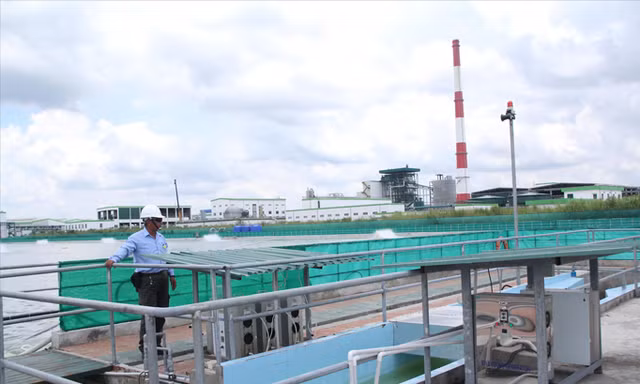 Khu vực xử lý nước thải của nhà máy giấy Lee&Man.