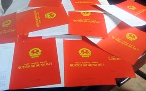 Ảnh minh họa: Internet