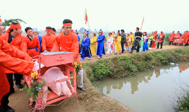 Rước lợn quanh làng. Ảnh: Lê Bích.