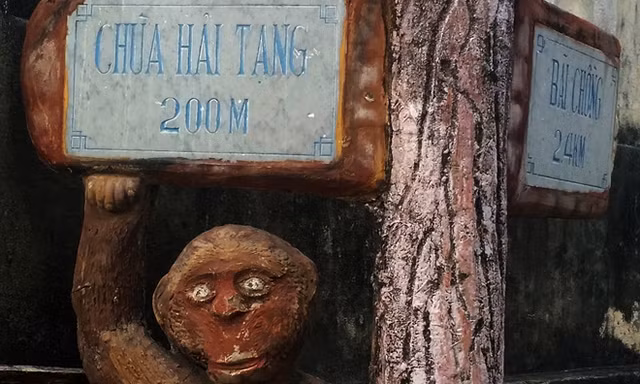 'Tôn Ngộ Không' cúp điện Cù Lao Chàm
