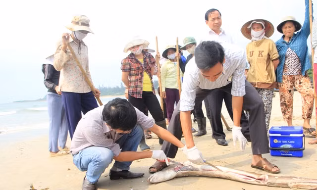 Bà nội trợ gặp khó