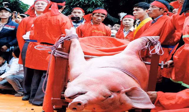 Lễ hội thôn Ném Thượng đang trở nên nổi tiếng và gây tranh cãi. Ảnh: Lê Bích.