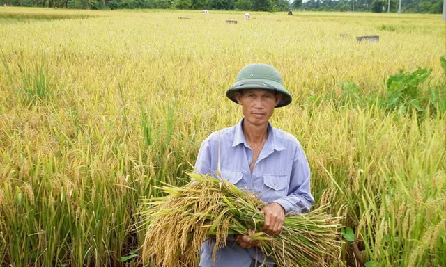 Nông dân cần được hỗ trợ, để sống được trên mảnh ruộng nhà mình. Ảnh: Bình Phương