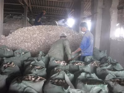 Nhà máy dầu thực vật gây ô nhiễm