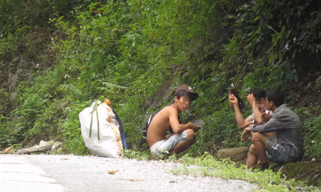 Lâm tặc lại trúng sưa chục tỉ, dân ùn ùn kéo vào rừng