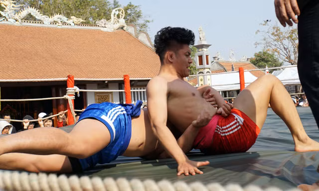 Vây kín xem đấu vật trong sân đình 700 năm tuổi ở Hải Phòng