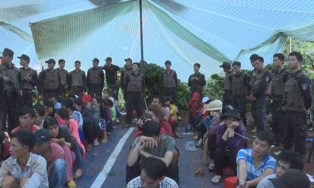 Truy tố 45 đối tượng đánh bạc trong vườn cà phê